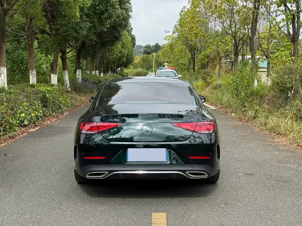 Mercedes-Benz CLS — фото 10