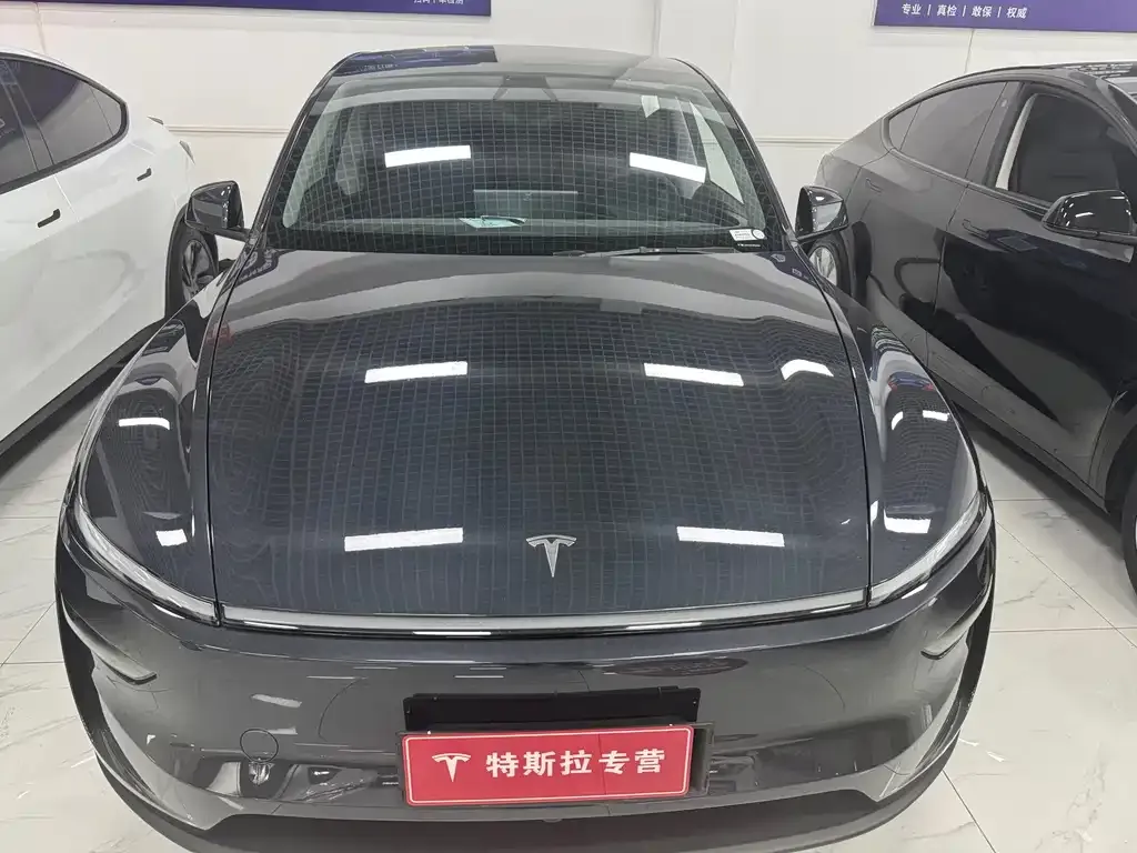 Tesla Model Y — фото 8