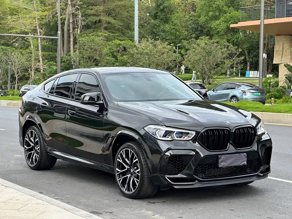 BMW X6 M — фото 10