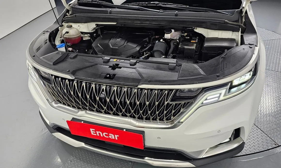 Kia Carnival — фото 10