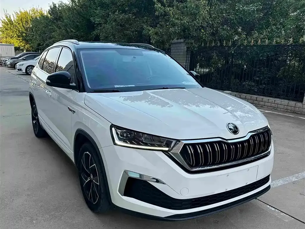 Skoda Kamiq — фото 7
