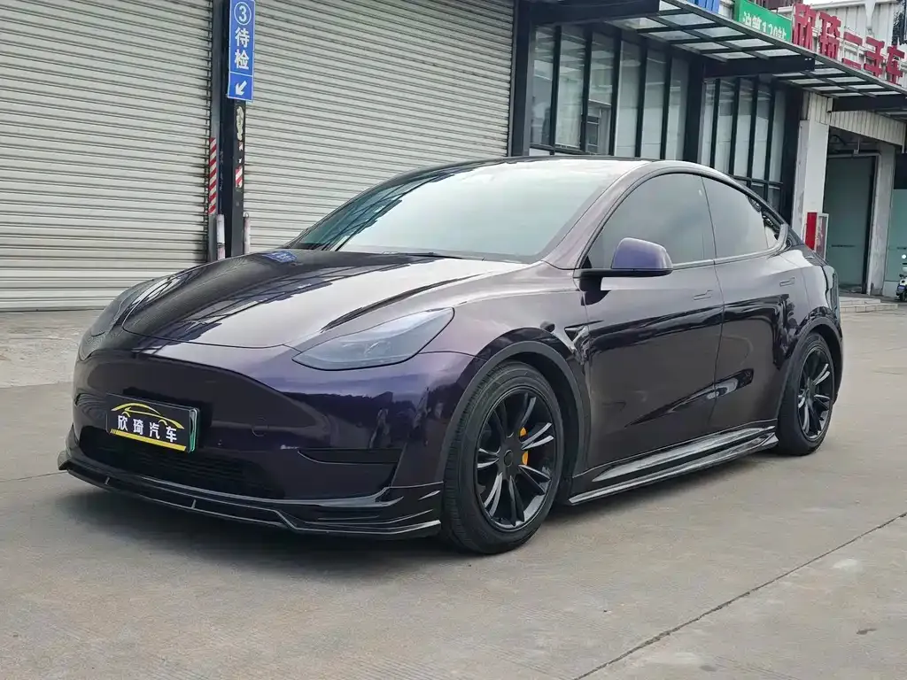 Tesla Model Y — фото 1