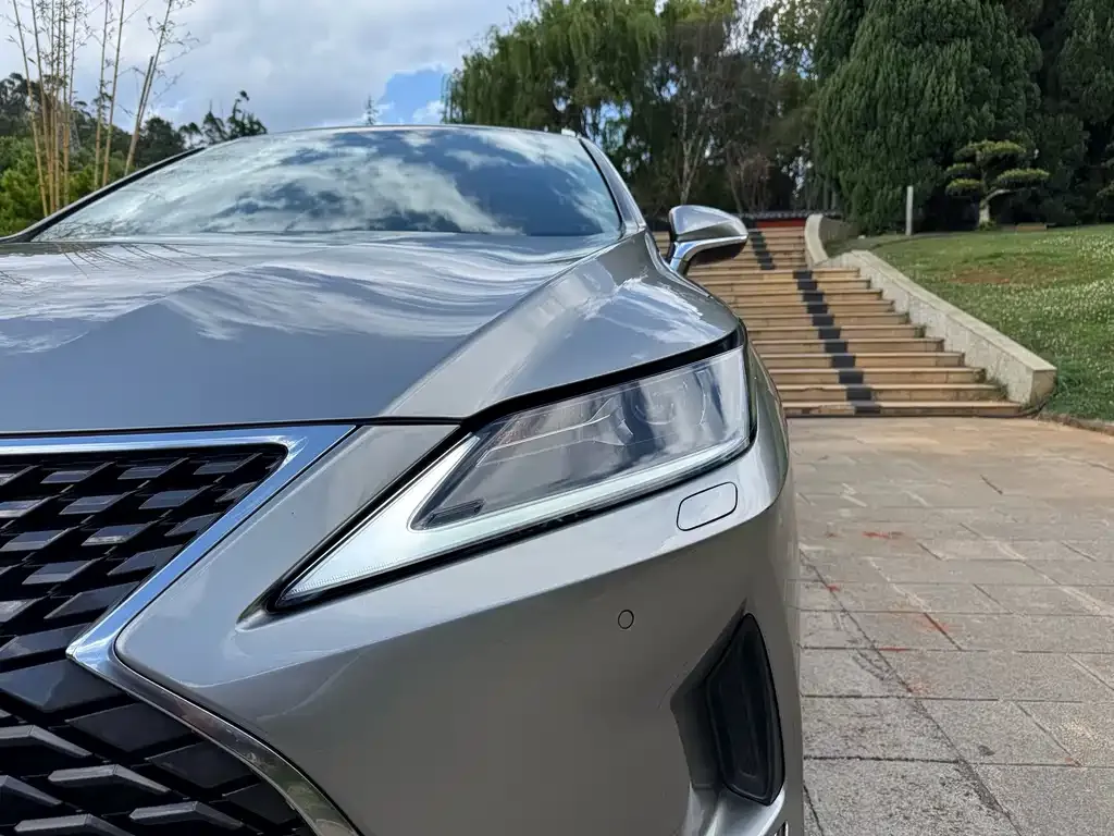 Lexus RX — фото 9