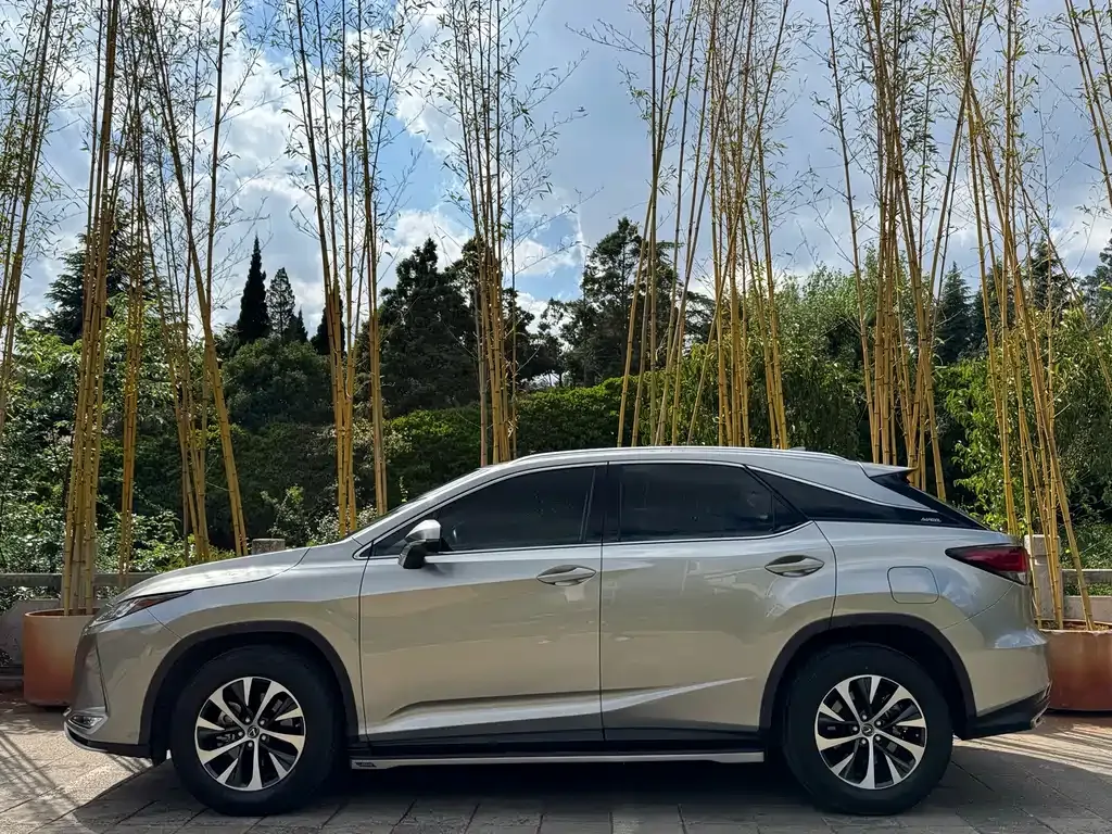 Lexus RX — фото 8