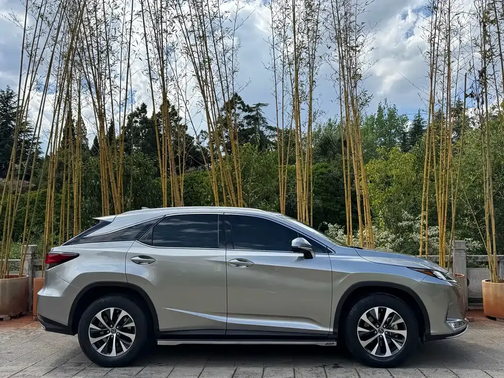 Lexus RX — фото 6