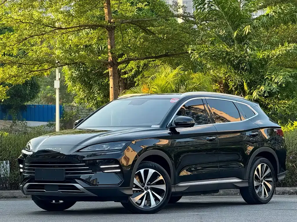 BYD PLUS New Energy — фото 1