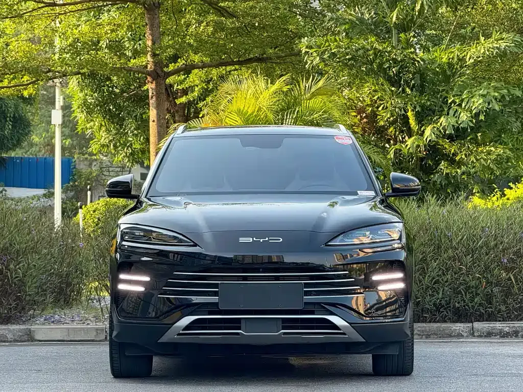 BYD PLUS New Energy — фото 7