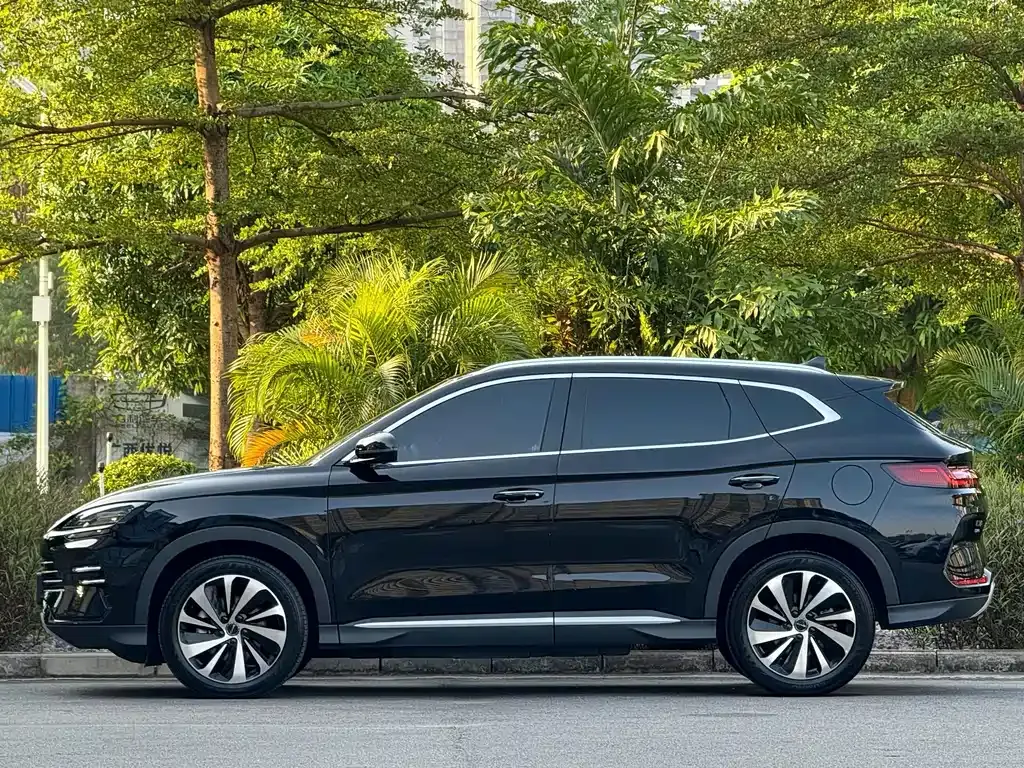 BYD PLUS New Energy — фото 10