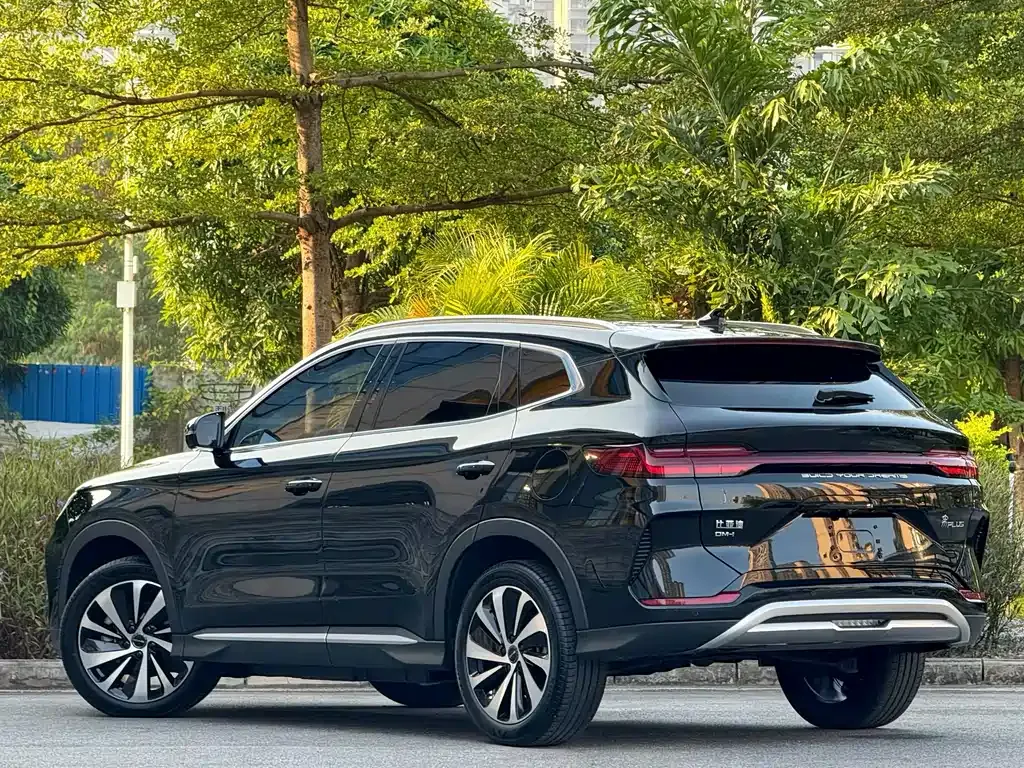 BYD PLUS New Energy — фото 8