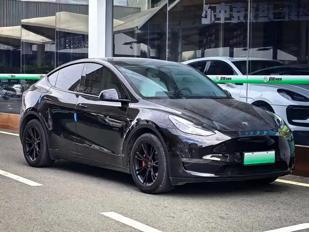 Tesla Model Y — фото 6