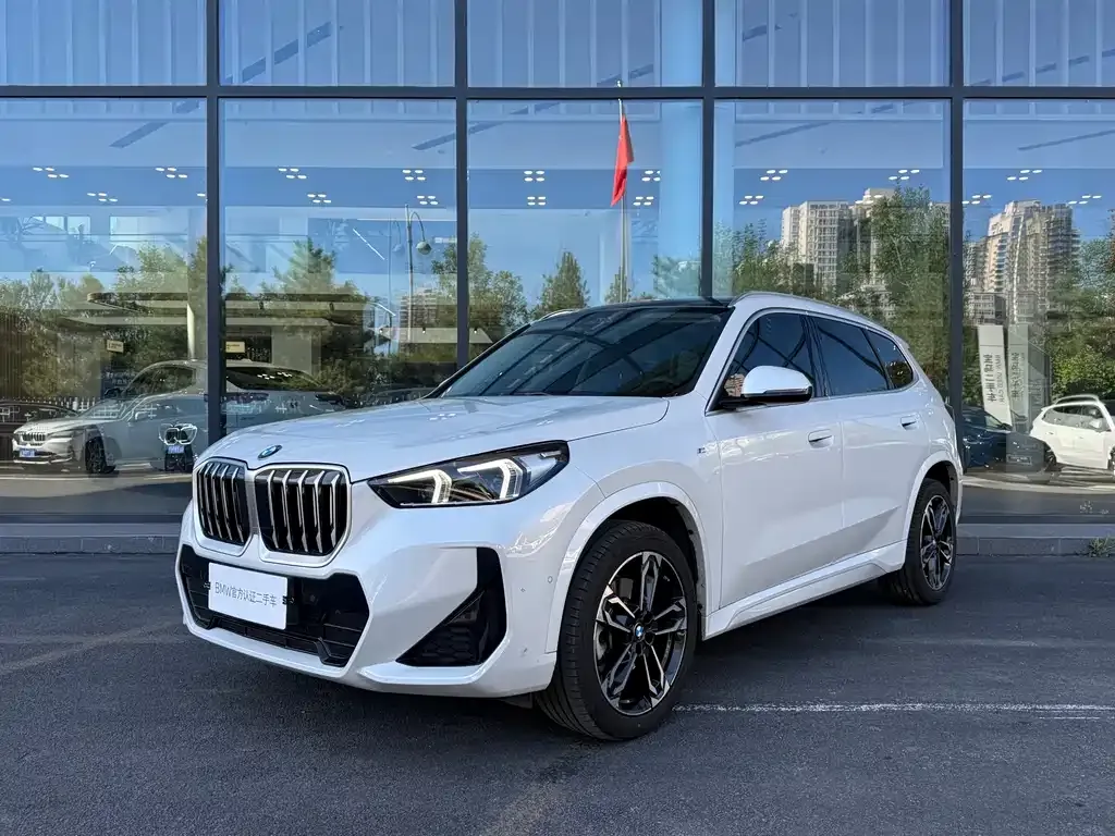 BMW X1 — фото 1