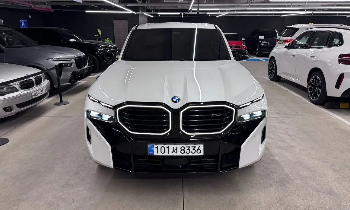 BMW XM — фото 10