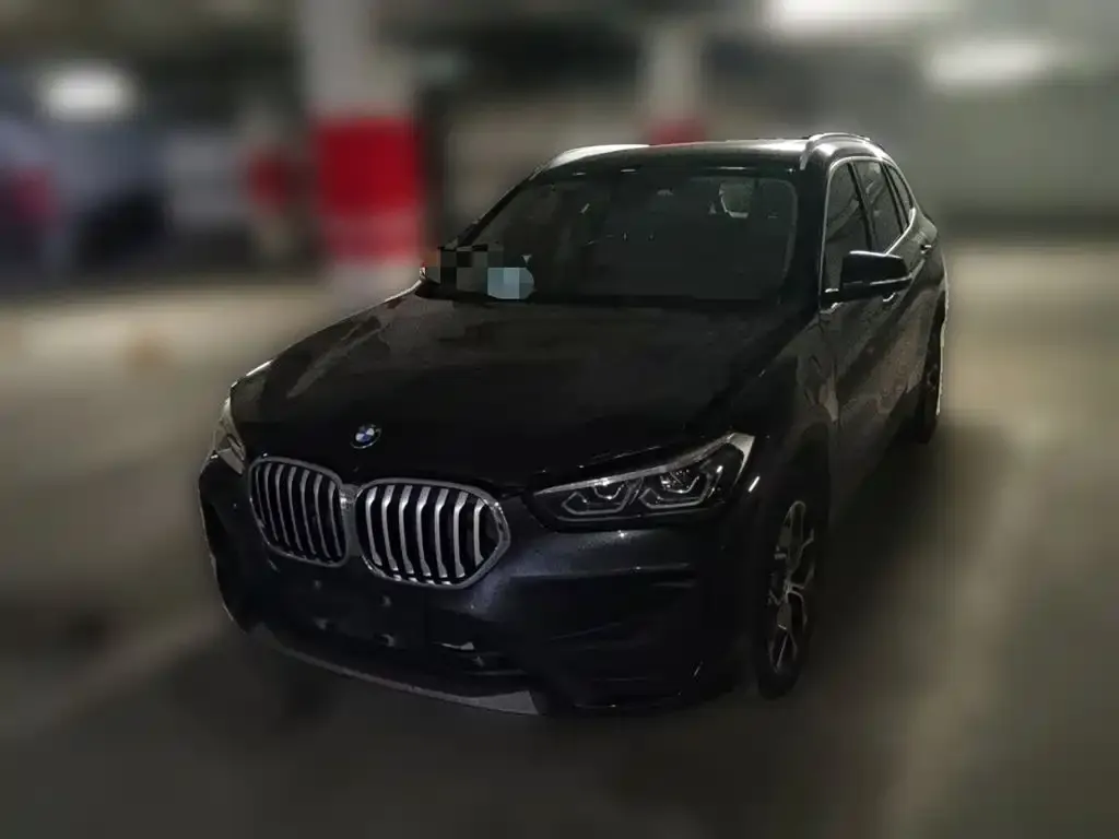 BMW X1 — фото 1