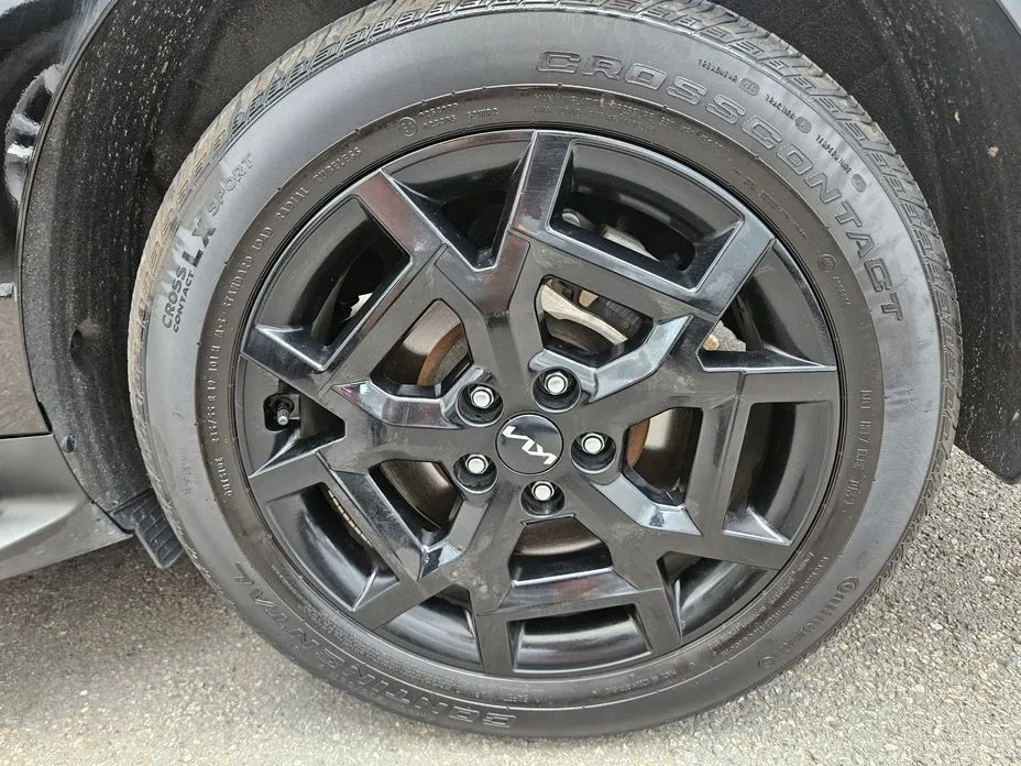Kia Carnival — фото 10