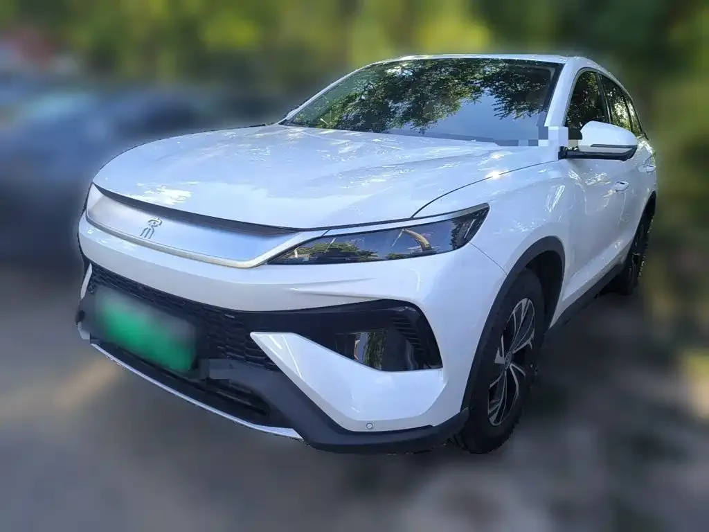 BYD Pro New Energy — фото 1