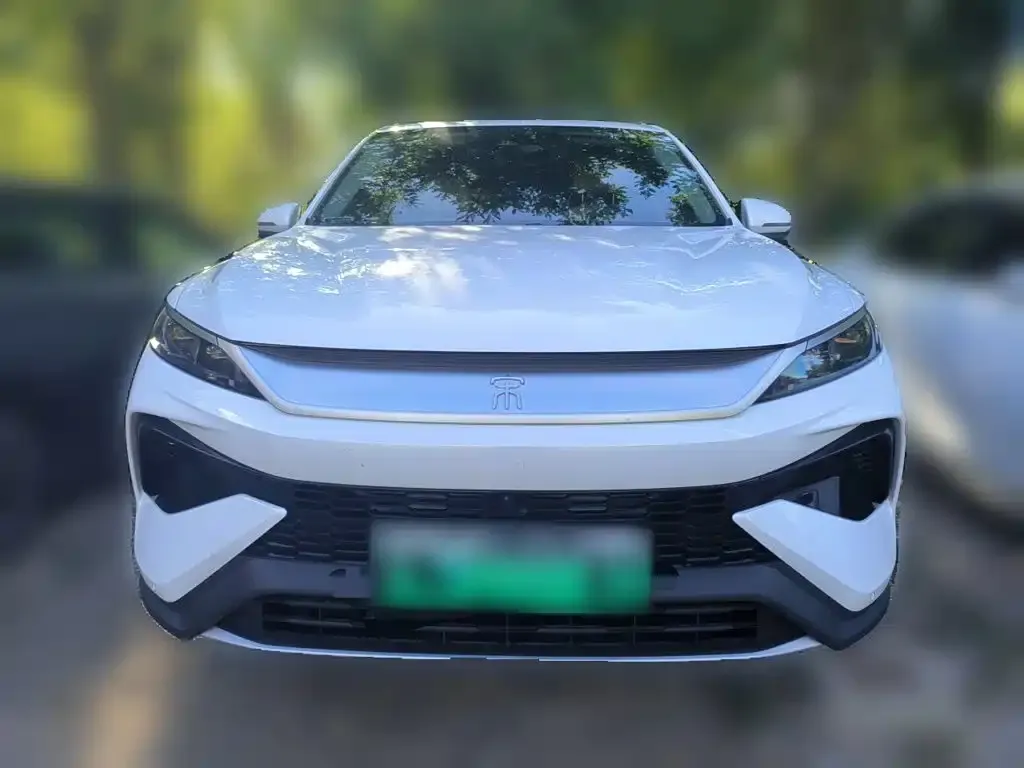 BYD Pro New Energy — фото 9