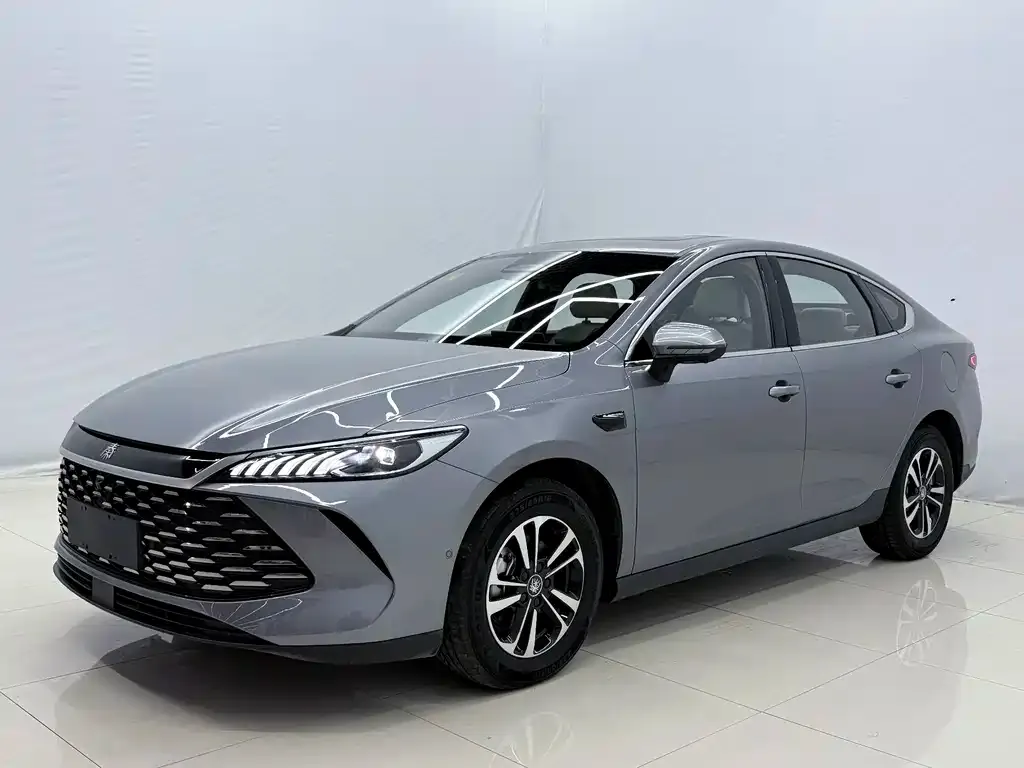 BYD Qin PLUS — фото 1
