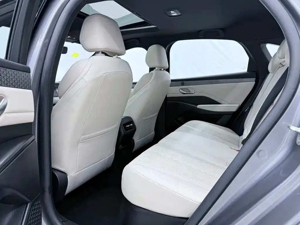 BYD Qin PLUS — фото 4