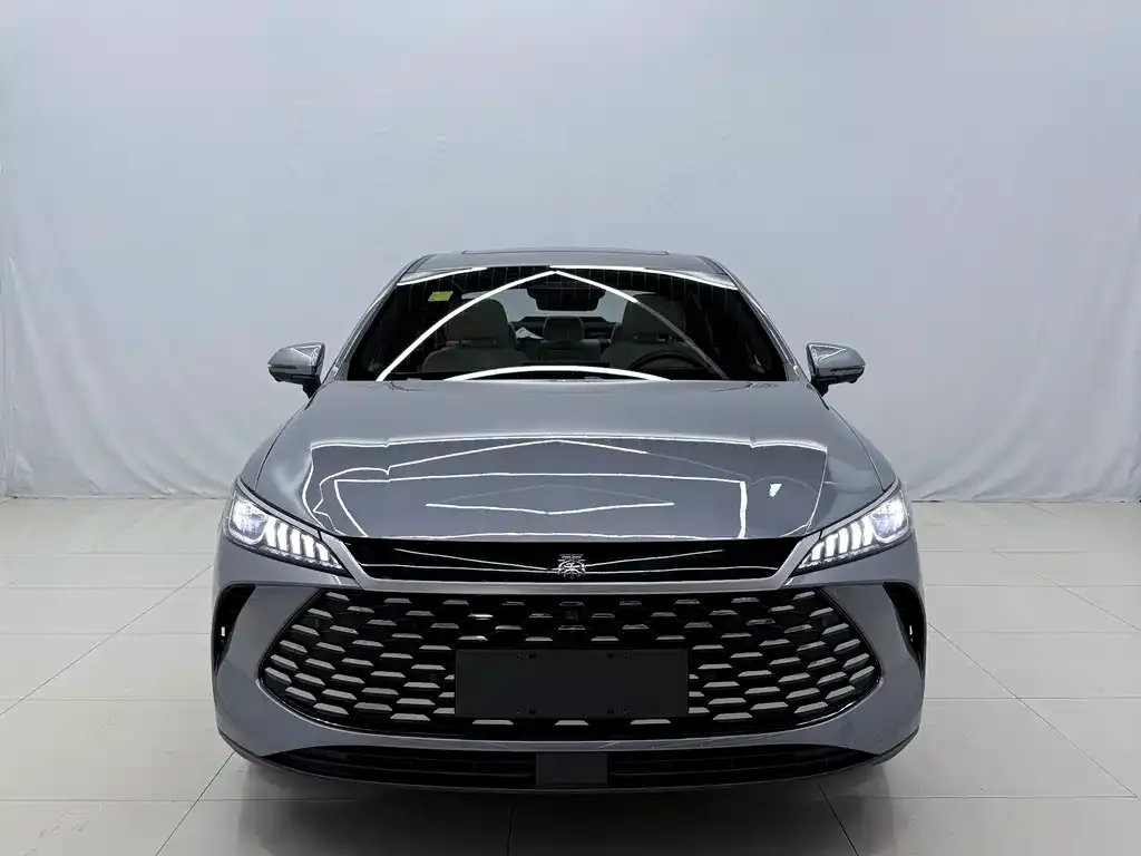 BYD Qin PLUS — фото 6