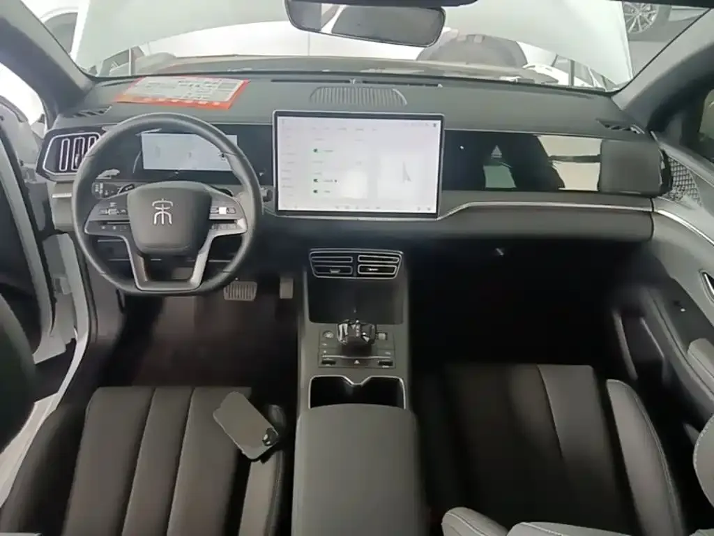 BYD Pro New Energy — фото 6