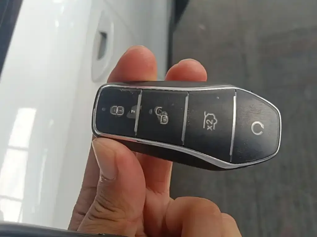 BYD Pro New Energy — фото 4