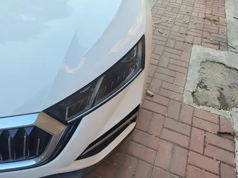 Skoda Octavia — фото 6