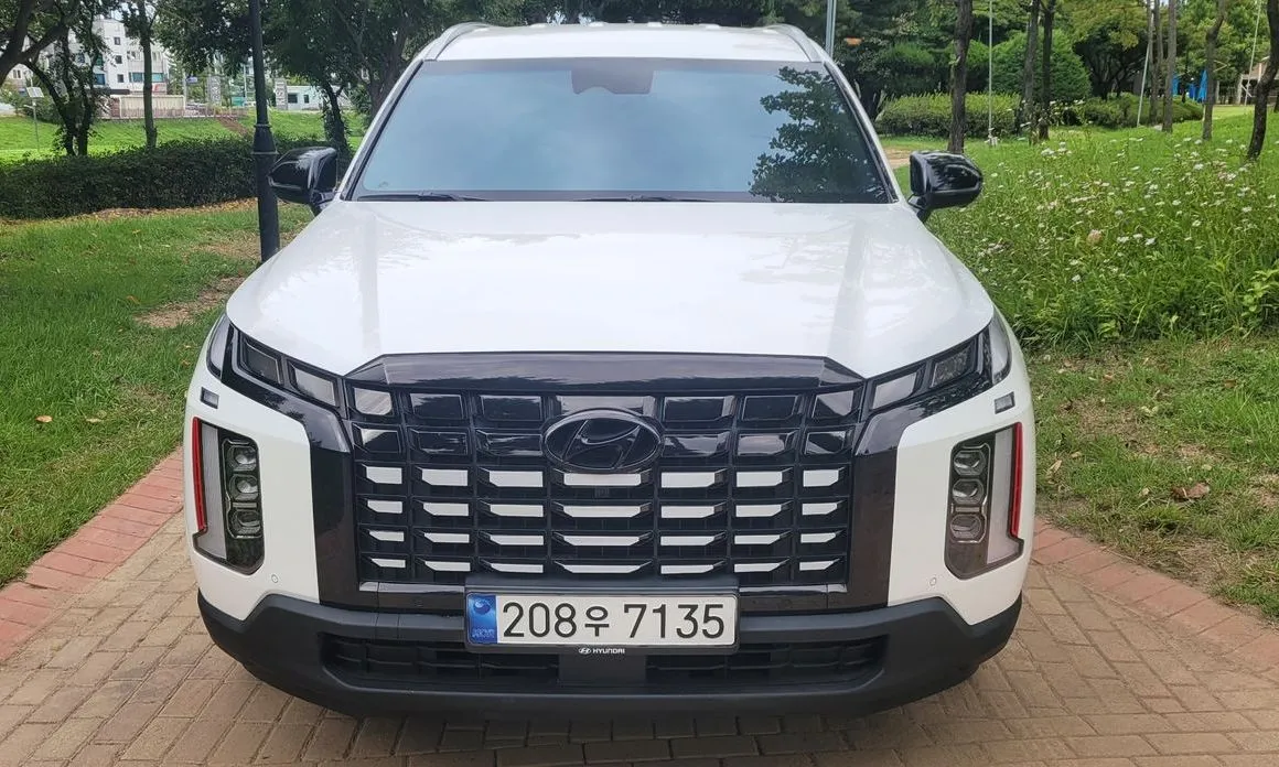 Hyundai Palisade — фото 1