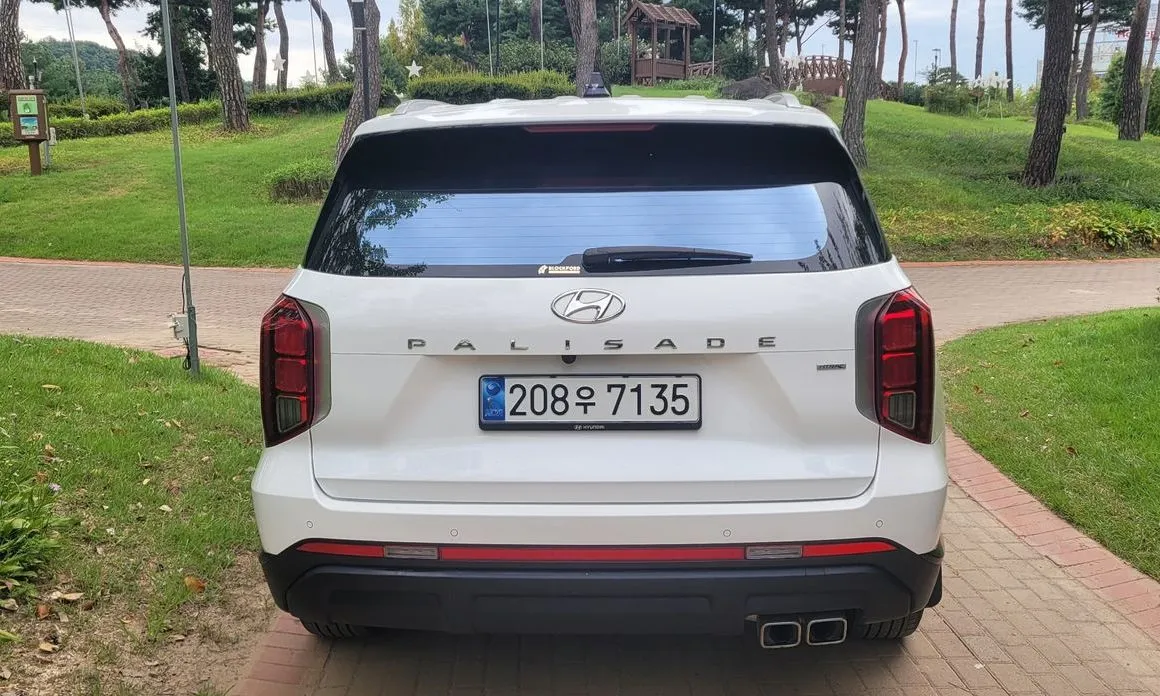 Hyundai Palisade — фото 8