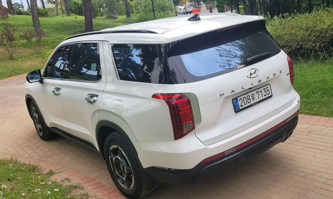 Hyundai Palisade — фото 9