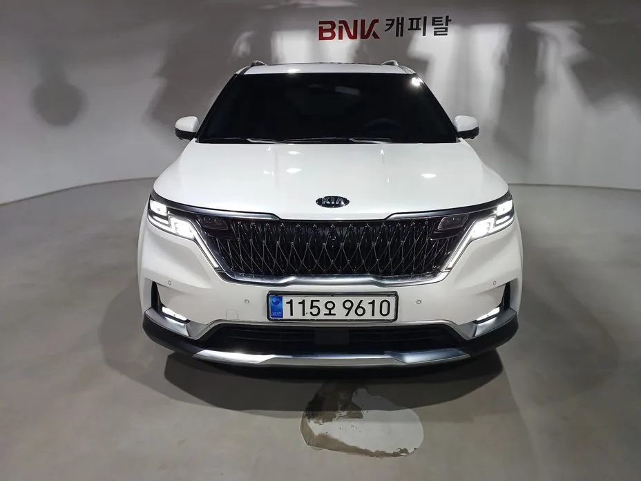 Kia Carnival — фото 10