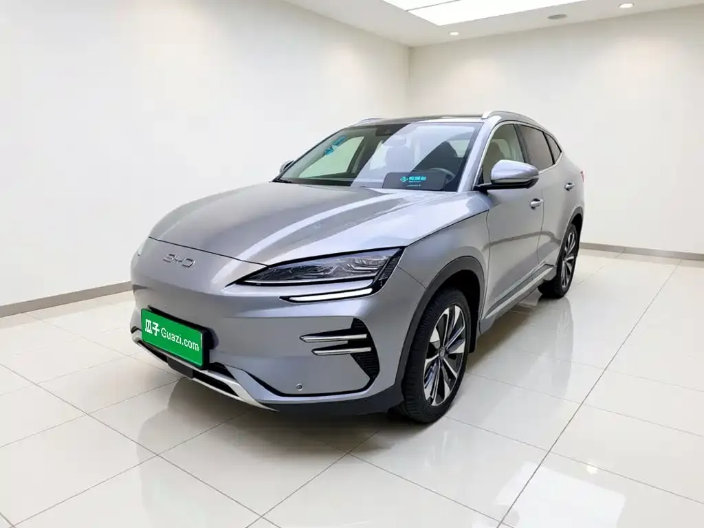 BYD PLUS New Energy — фото 1