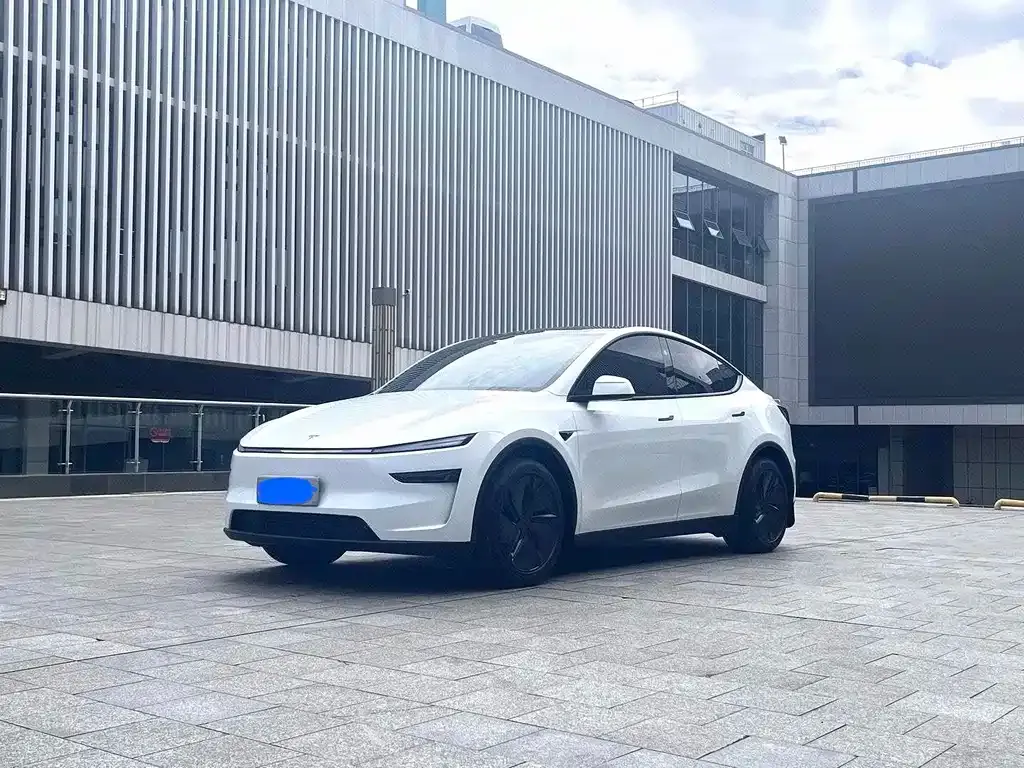 Tesla Model Y — фото 1