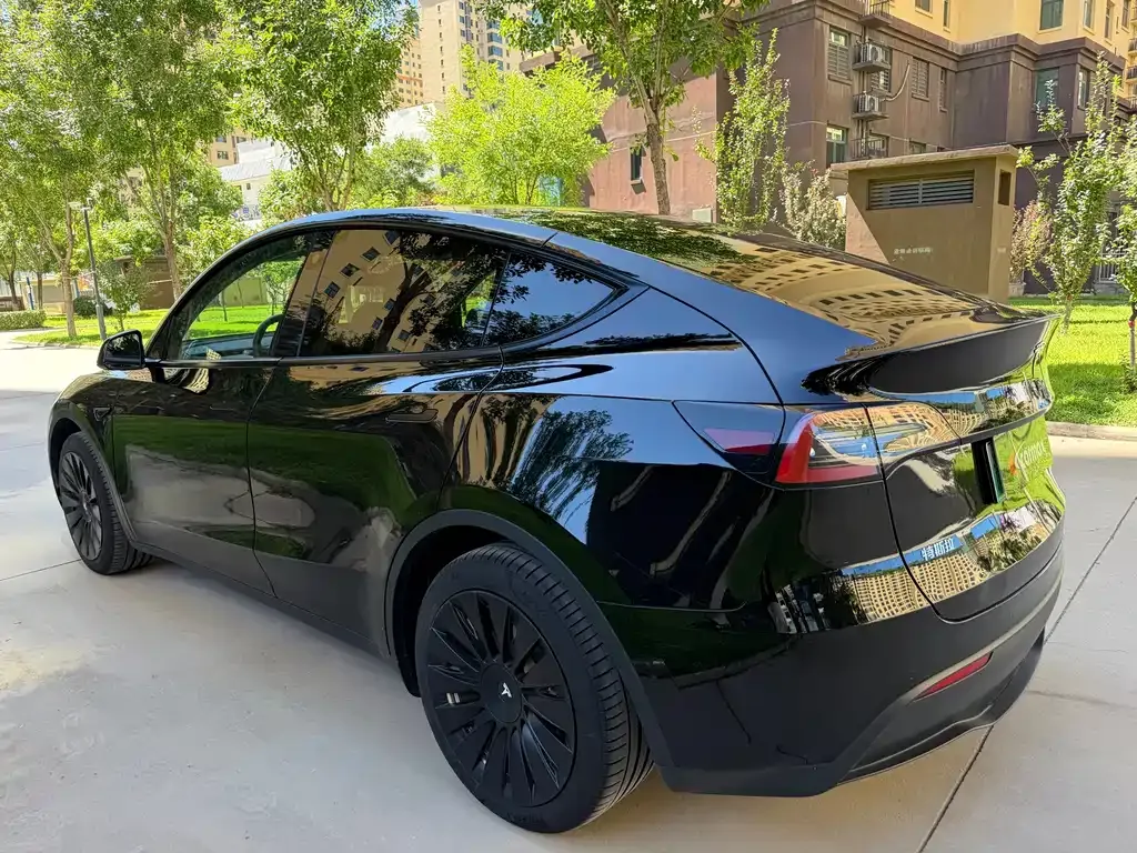 Tesla Model Y — фото 10