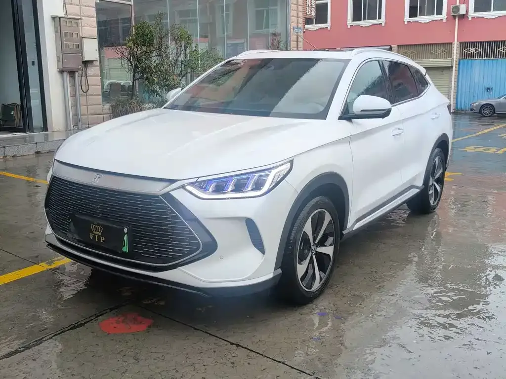 BYD PLUS New Energy — фото 1
