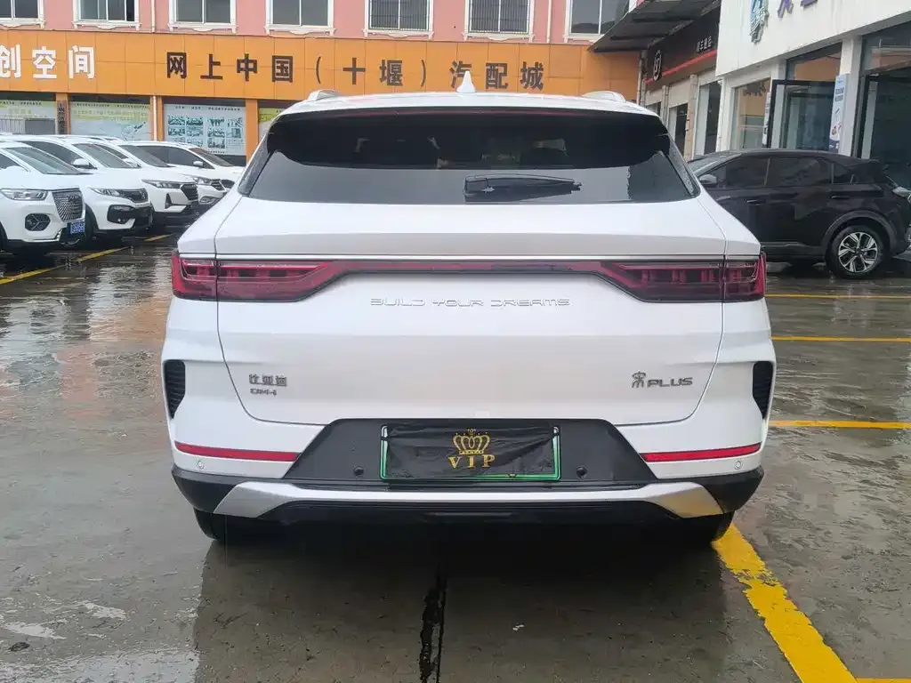 BYD PLUS New Energy — фото 4