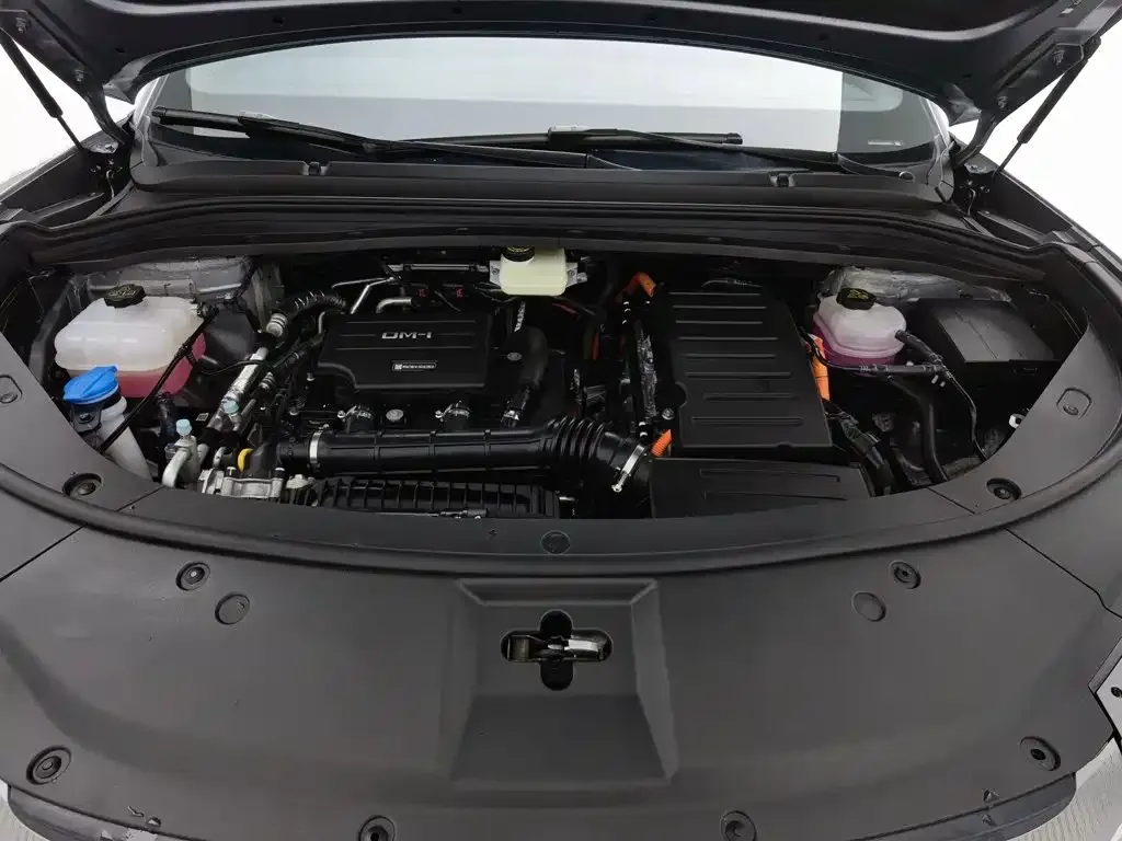 BYD L DM-i — фото 10