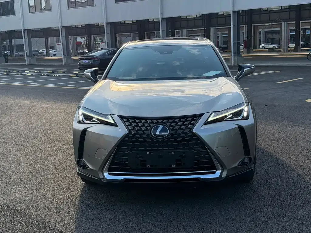 Lexus UX New Energy — фото 9