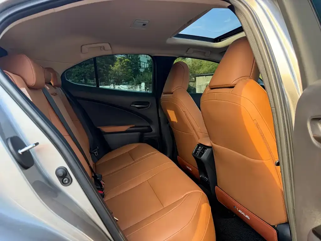 Lexus UX New Energy — фото 5
