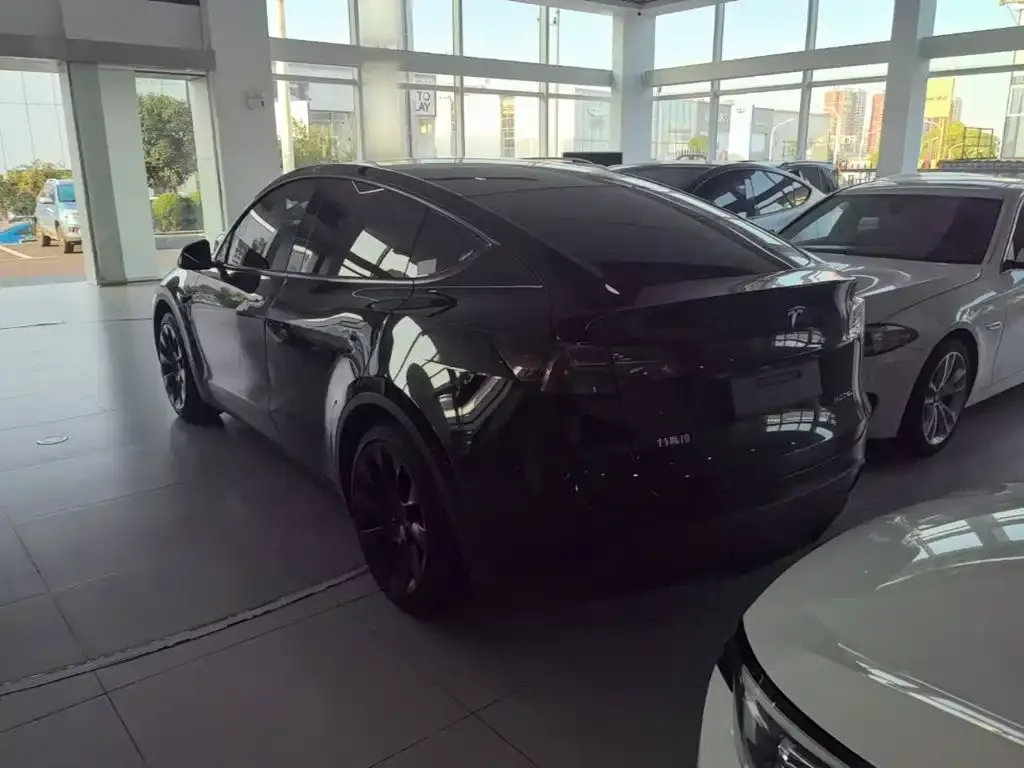 Tesla Model Y — фото 10