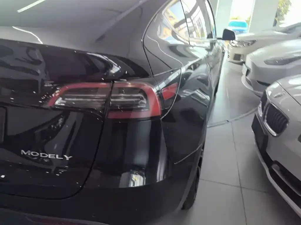 Tesla Model Y — фото 3