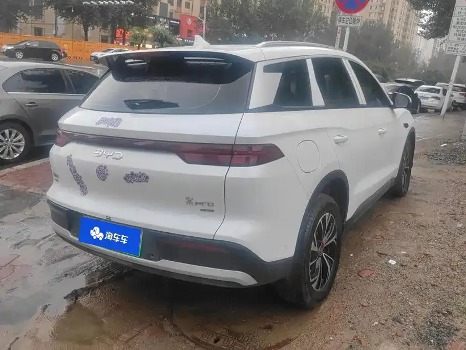 BYD Pro New Energy — фото 9