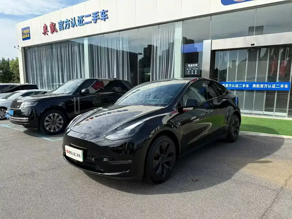 Tesla Model Y — фото 1