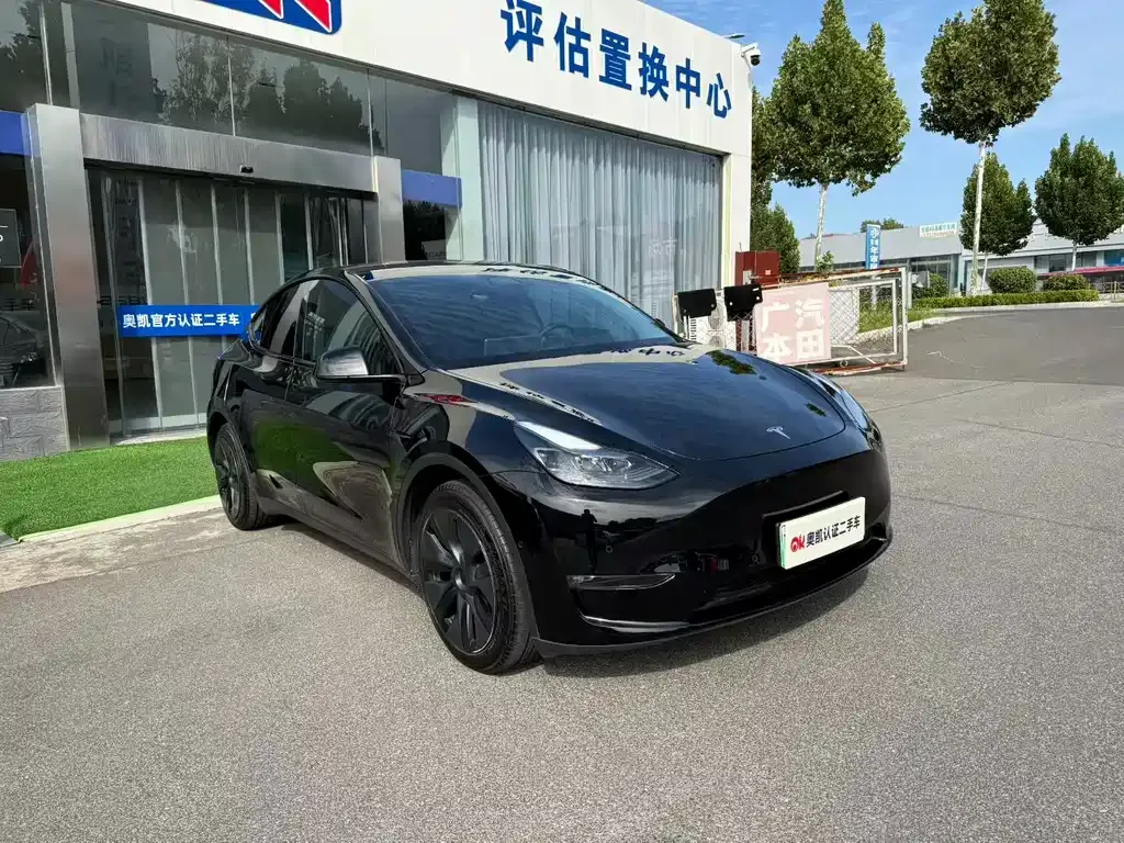 Tesla Model Y — фото 6