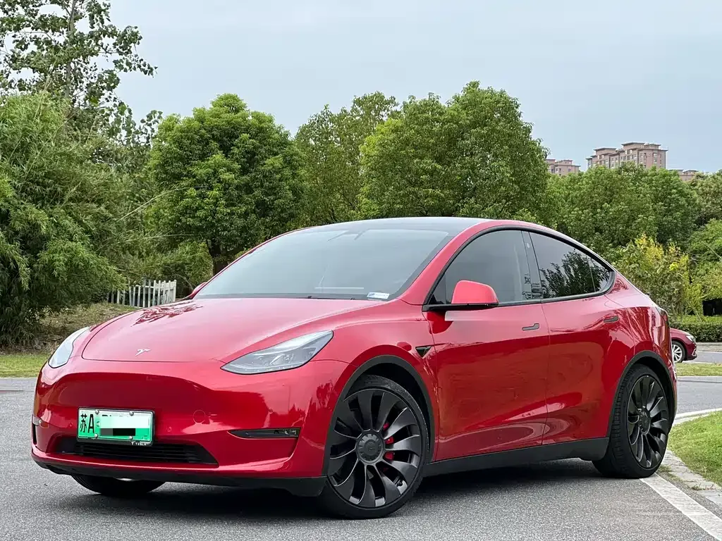 Tesla Model Y — фото 1