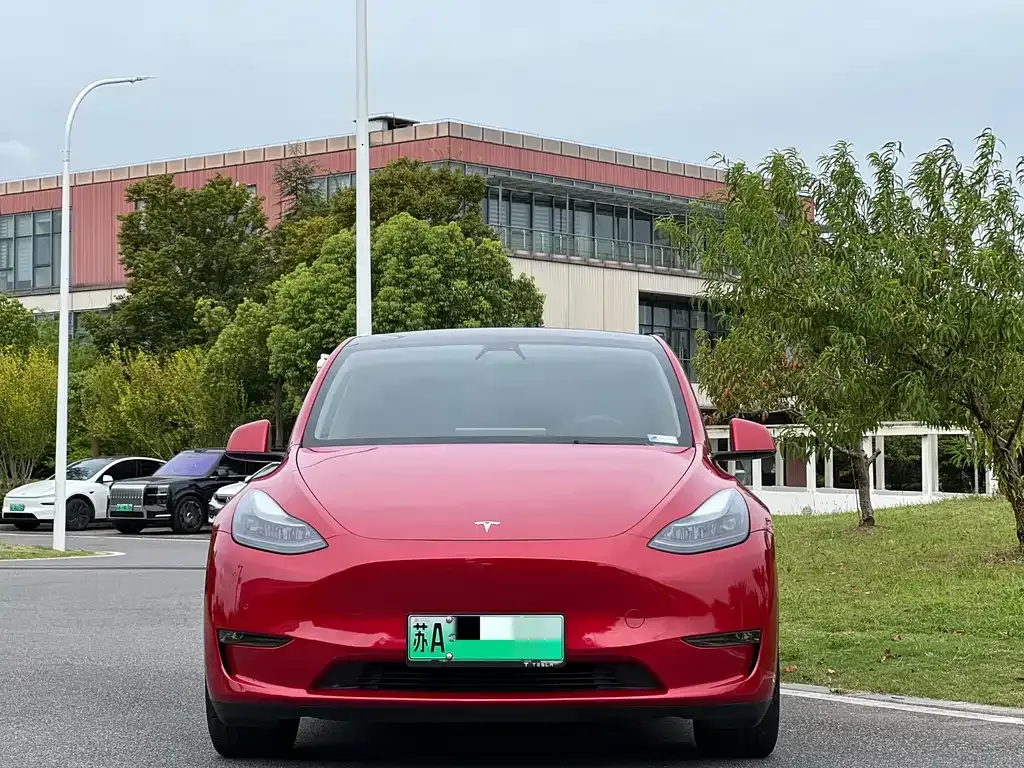 Tesla Model Y — фото 8
