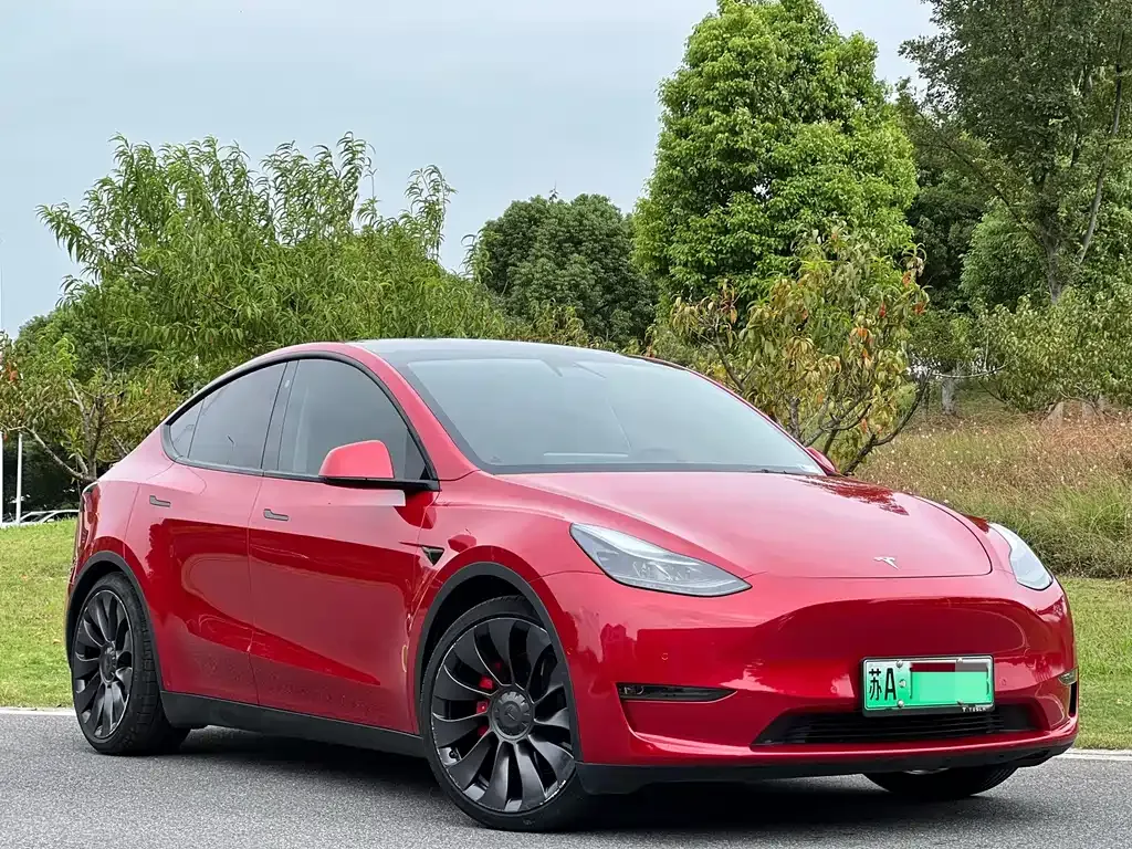 Tesla Model Y — фото 5