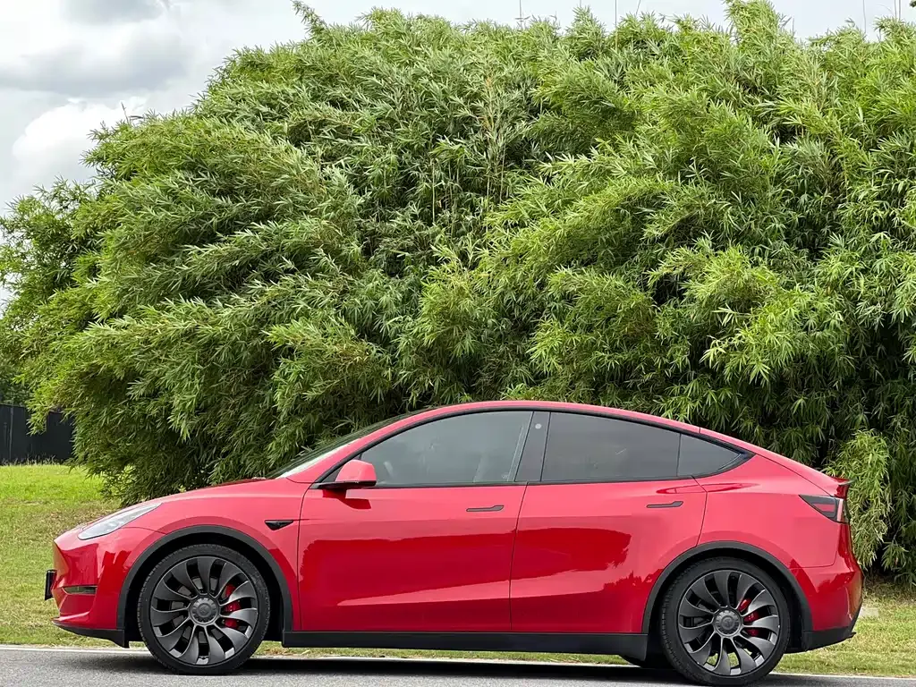 Tesla Model Y — фото 6