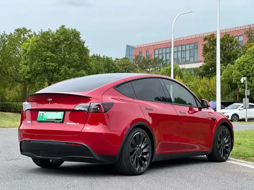 Tesla Model Y — фото 3