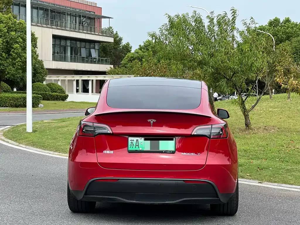 Tesla Model Y — фото 9