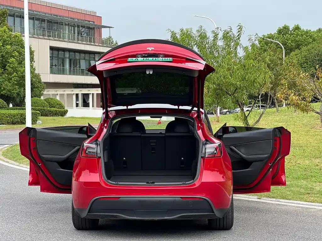 Tesla Model Y — фото 10